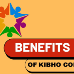 A Step-by-Step Guide to Kibho App Login